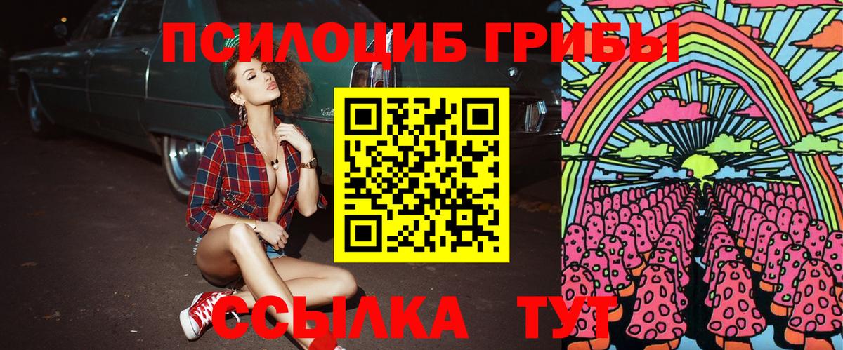 Нижневартовск  где продают наркотики  Галлюциногенные грибы MAGIC MUSHROOMS  Вход с VPN  Галлюциногенные грибы Psilocybine cubensis 